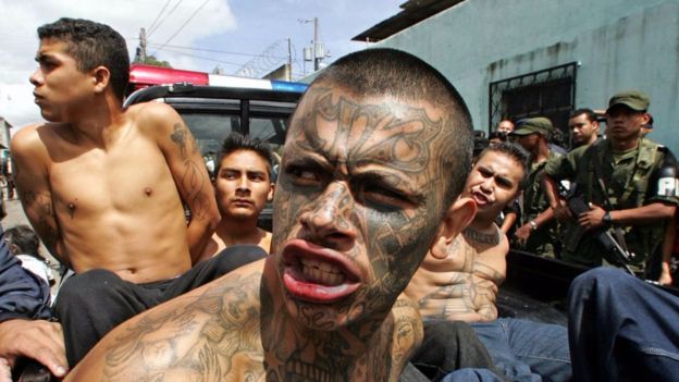 De enero a mayo de este año 49 presunto pandilleros de El Salvador han sido detenidos en Guatemala. Fotografía: AFP
