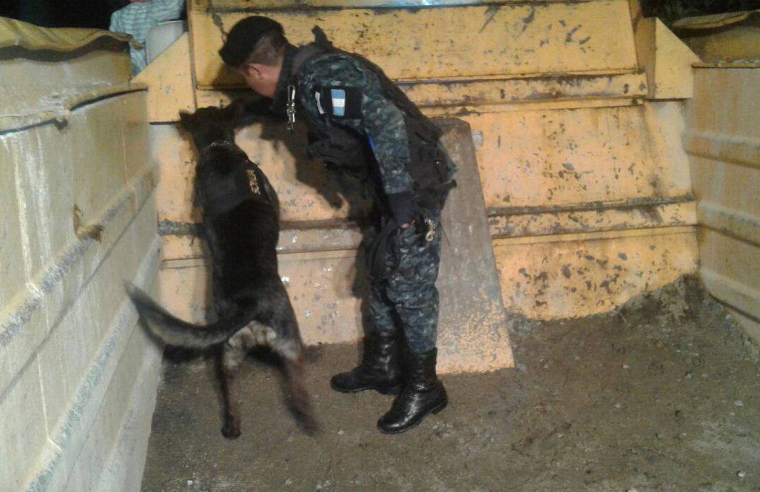 El agente canino "Sonja" y su guía durante el operativo antinarcótico. (Foto Prensa Libre: PNC)