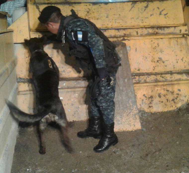 El agente canino "Sonja" y su guía durante el operativo antinarcótico. (Foto Prensa Libre: PNC)