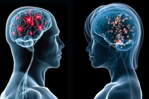 Cerebros de hombres y mujeres tienen conexiones diferentes.<br _mce_bogus="1"/>