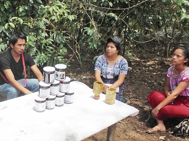 Antonio González, originario de San Pedro La Laguna y representante del Colectivo de Apicultores, examina una colmena en San Lucas Tolimán.(Foto Prensa Libre: Ángel Julajuj)