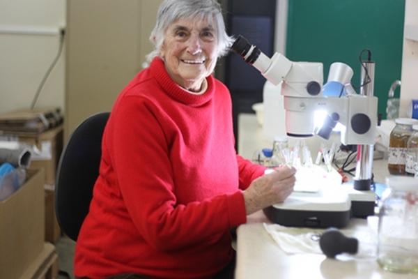 Margaret Dix ha dedicado más de 40 años a la investigación y la docencia en Guatemala (Foto Prensa Libre: Rodrigo Méndez)<br _mce_bogus="1"/>