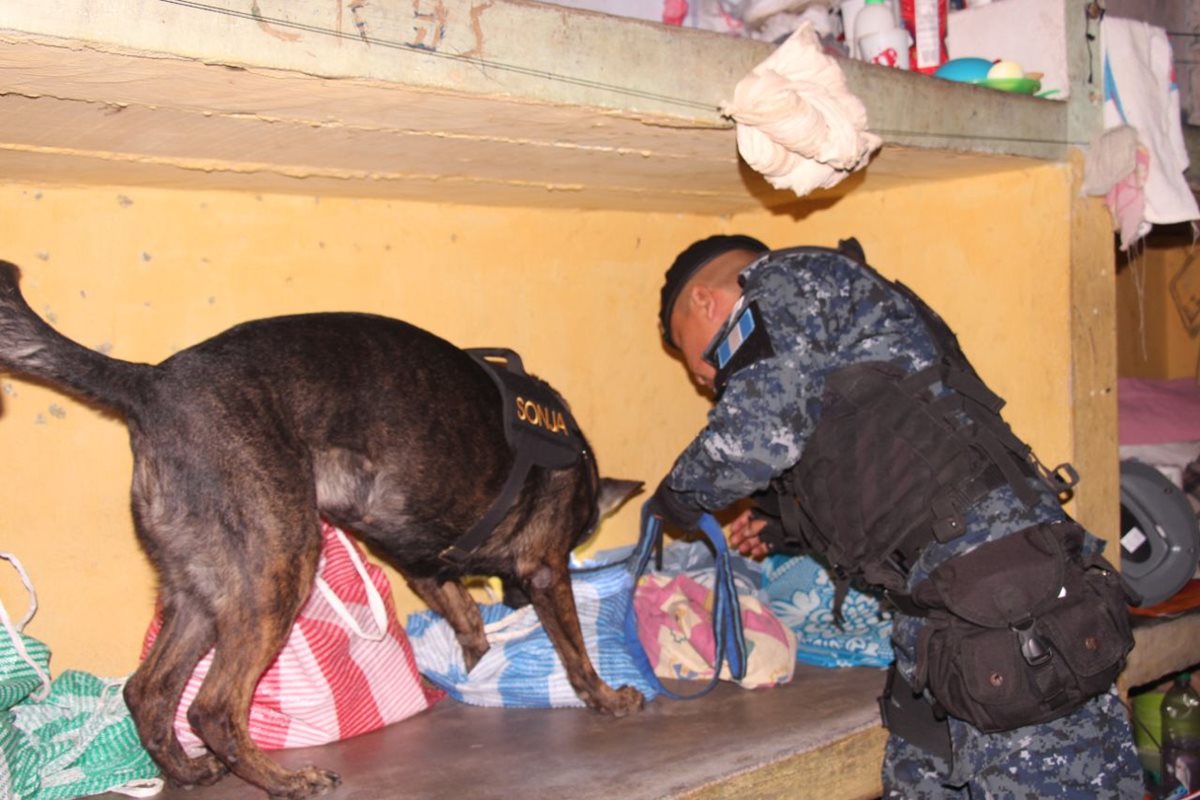 Autoridades con la ayuda de perros entrenados buscan ilícitos en la prisión. (Foto Prensa Libre: Cortesía).