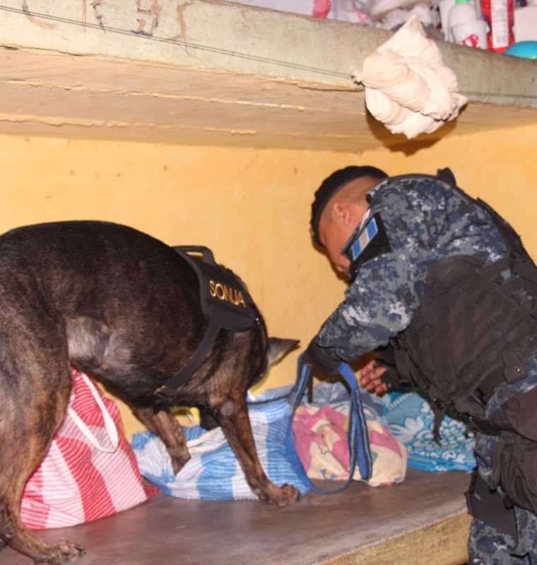 Autoridades con la ayuda de perros entrenados buscan ilícitos en la prisión. (Foto Prensa Libre: Cortesía).