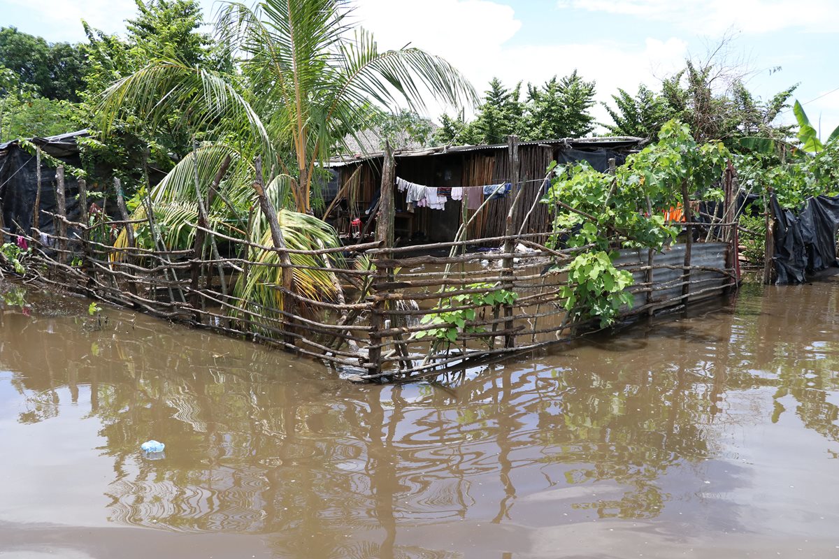 El nivel del agua en Sipacate no ha bajado, por lo cual, las viviendas permanecen inundadas. (Foto Prensa Libre: Enrique Paredes)