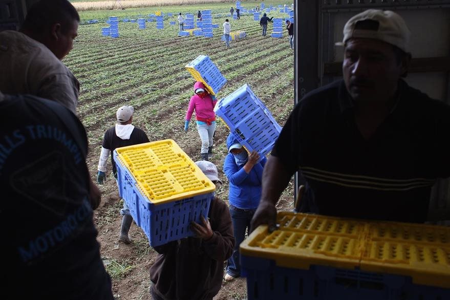 Los migrantes, sin importar su estatus legal en Estados Unidos, cometen menos crímenes que los estadounidenses, revelan informes. (Fotos Prensa Libre: HemerotecaPL)