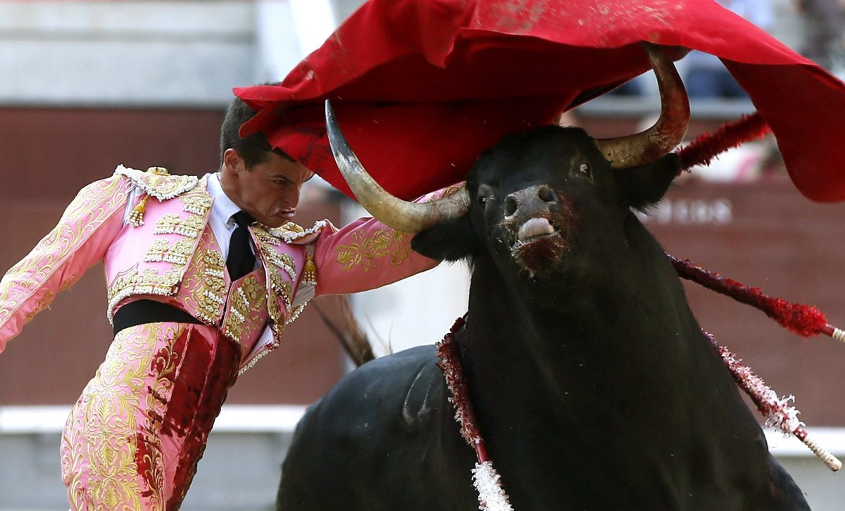 <em>Los “encierros” de toros son una parte tradicional de las fiestas de verano en España. (Foto Prensa Libre: EFE).</em>