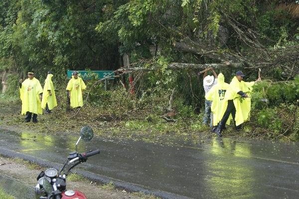 Agentes de la PMT y vecinos despejan paso.