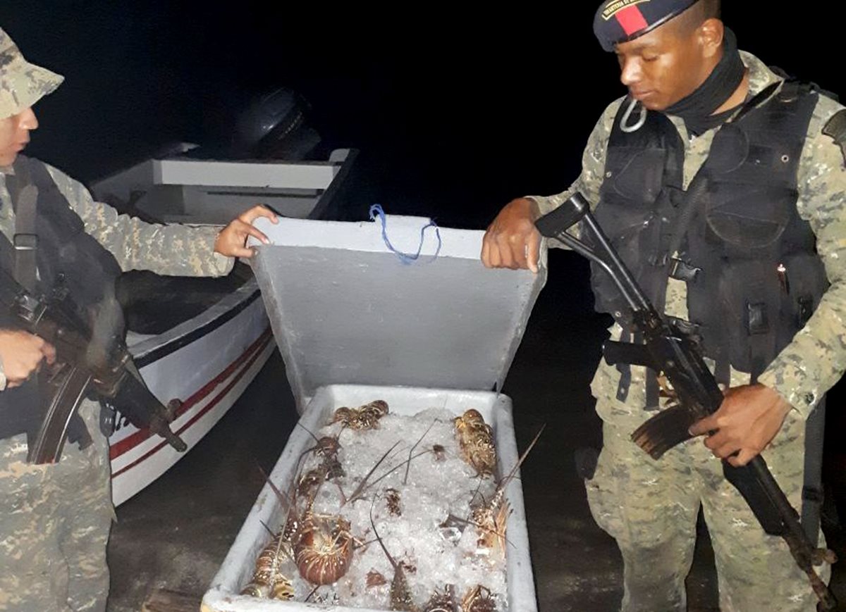 Beliceños son detenidos por pescar langostas en aguas guatemaltecas
