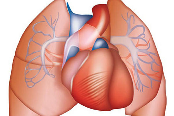 Hoy es el Día de la Hipertensión Pulmonar