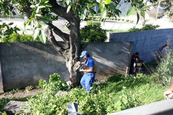 Investigador inspecciona el lugar donde fueron encontrados dos cadáveres, en Palín. (Foto Prensa Libre: Enrique Paredes) <br _mce_bogus="1"/>
