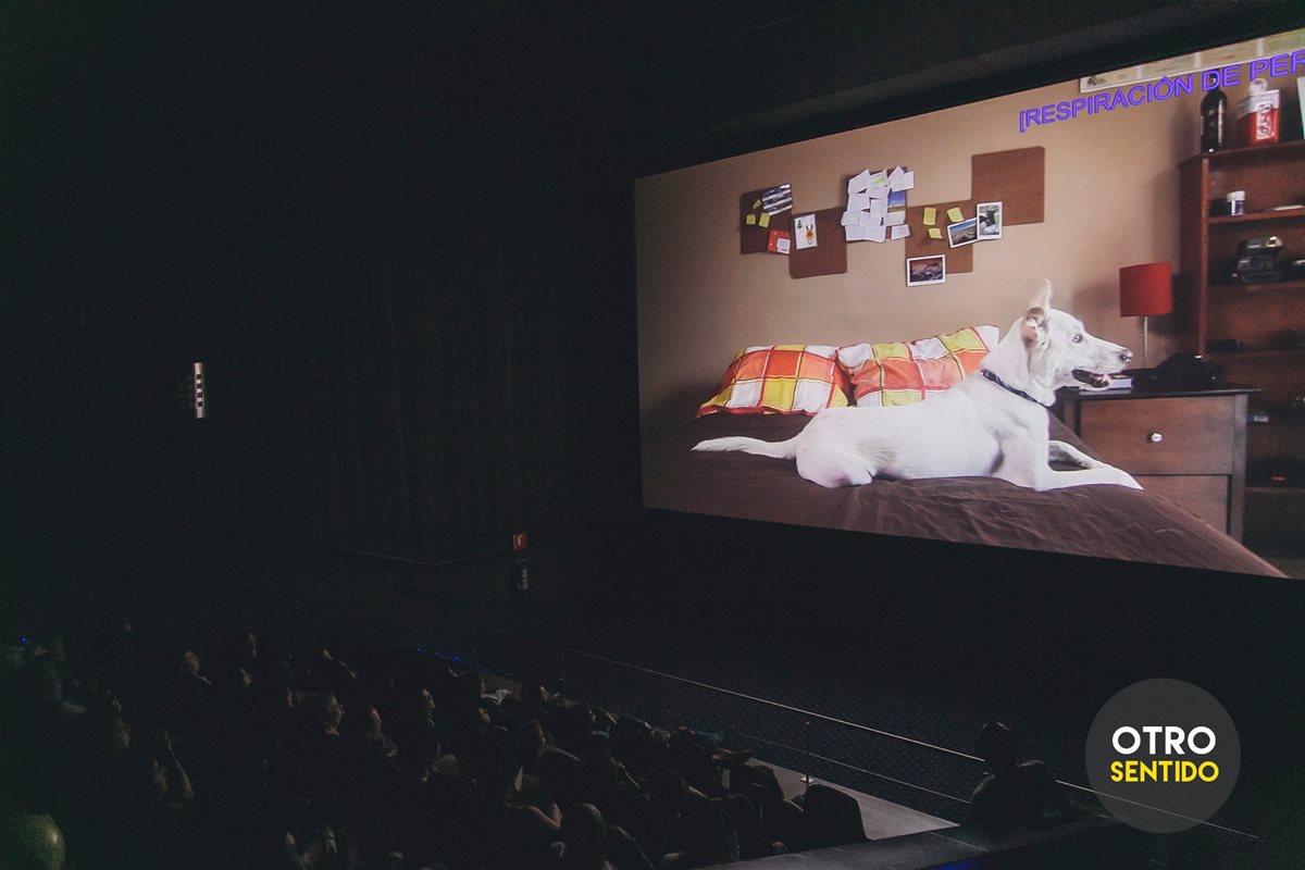 Proyección del cortometraje en una sala de cine. (Foto Prensa Libre: Otro Sentido)