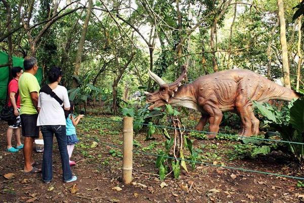 Visitantes pueden apreciar en el parque Xulik cómo las figuras de dinosaurios mueven los ojos y respiran. (Foto Prensa Libre: Rolando Miranda)