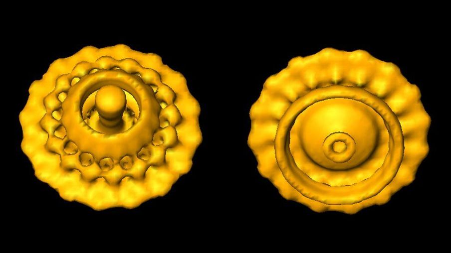 Esta imagen de un "motor" bacteriano fue lograda con la tecnología desarrollada por el trío. (GAVIN MURPHY/NATURE/SPL).