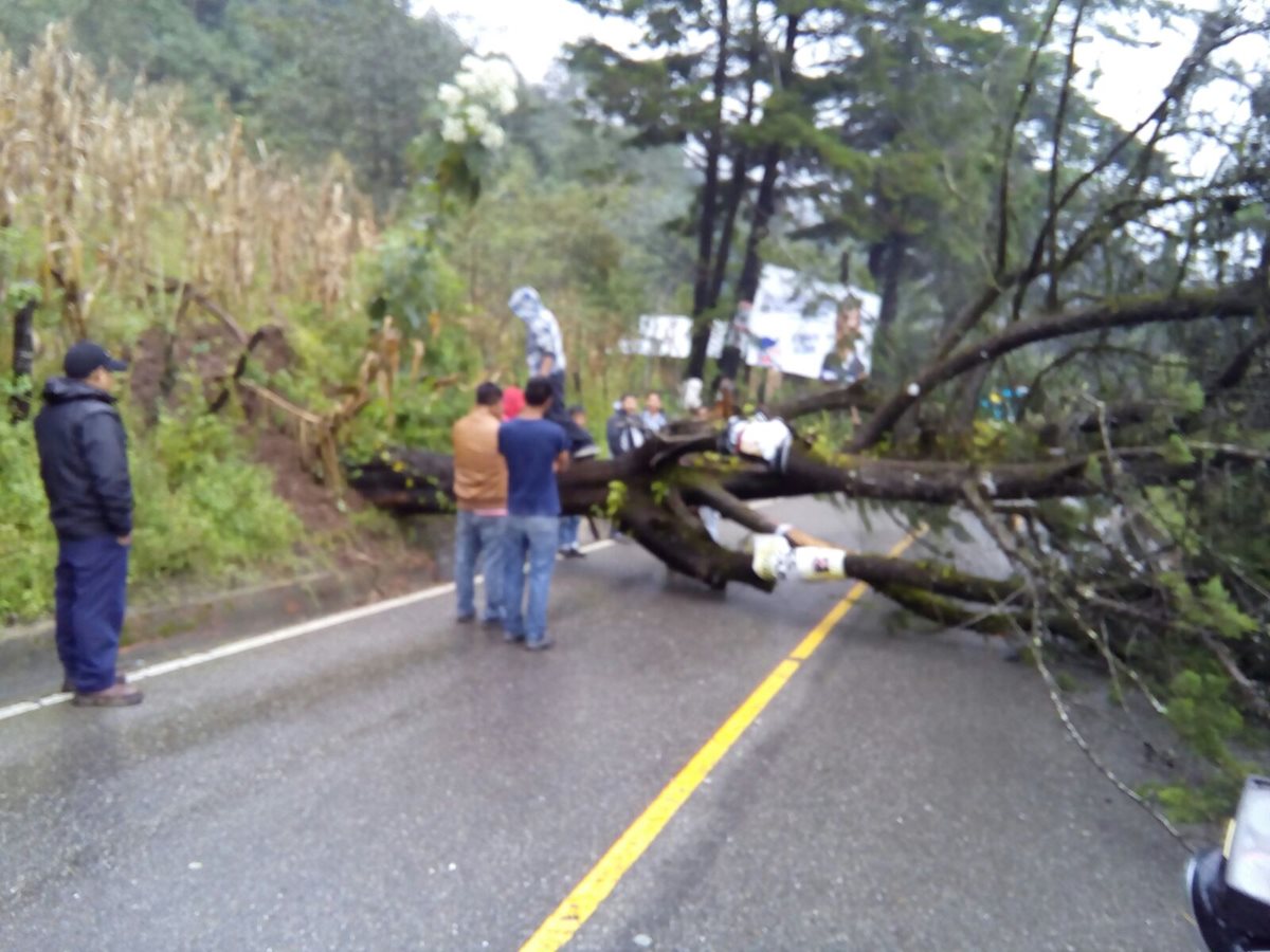 Paso a Nebaj, Quiché está inhabilitado por varios árboles que cayeron a la carretera. (Foto Prensa Libre: Óscar Figueroa)