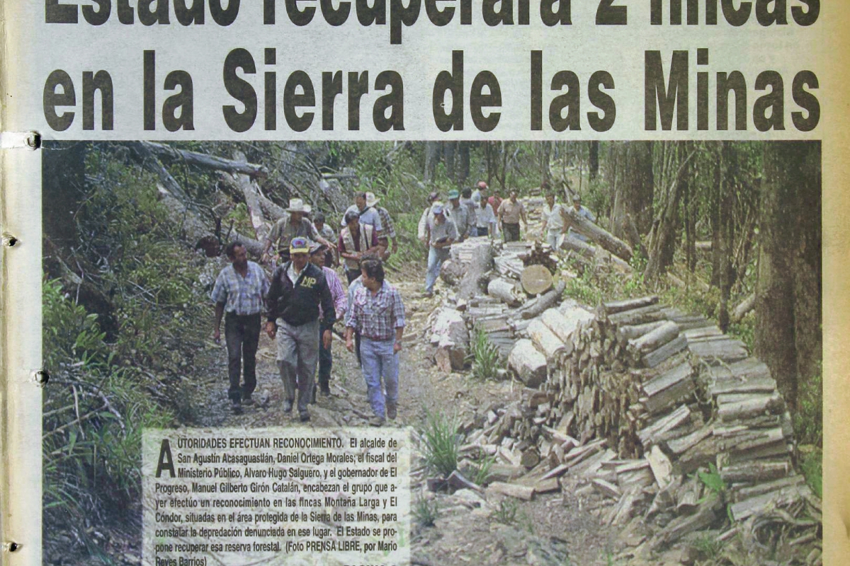 Depredación, un tema que tala a Guatemala