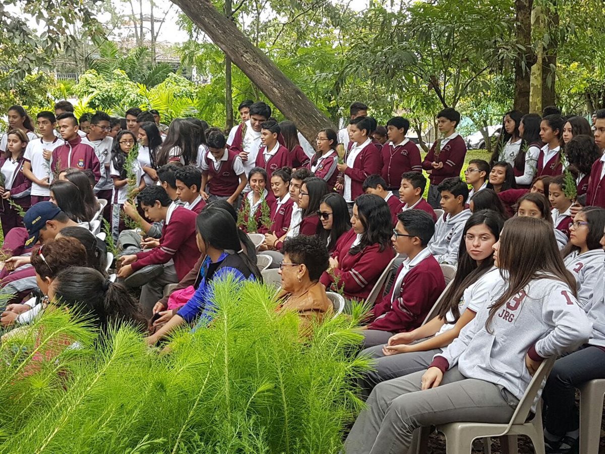 Cada año se llevan a cabo jornadas de siembra de árboles en Las Guacamayas. (Foto Prensa Libre: Cortesía Asociación de Vecinos de Bosques de San Nicolás)