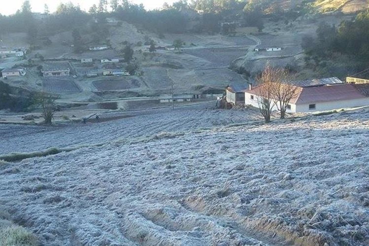 Una campo cubierto de escarcha durante la pasada época de frío. (Foto Prensa Libre: Hemeroteca PL)