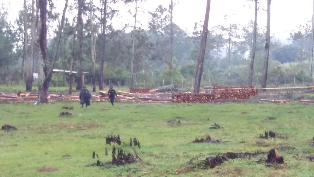 Esta es el área boscosa en donde los tres hombres se hallaban cortando árboles. (Foto Prensa Libre: Víctor Chamalé)