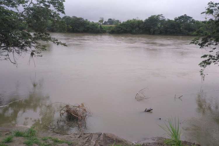 Río Chixoy a punto de desbordarse en Playitas, Cobán, las lluvias continúan fuertes en la región.