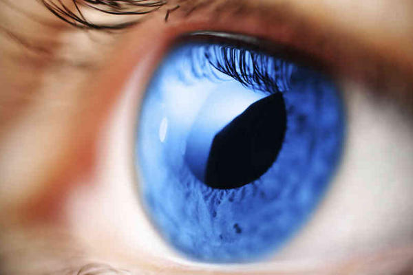 <br _mce_bogus="1"/>