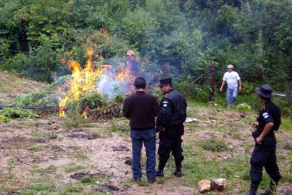 Autoridades incineran marihuana.