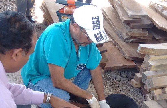 Un veterinario examina los restos del perro Rocky y determina que fue envenenado. (Foto Prensa Libre: Oswaldo Cardona)