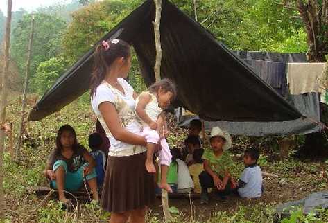 Unas 200 personas, entre ellas varios niños, se refugian en México, luego de haber sido desalojadas de la comunidad Nueva Esperanza, en La Libertad, Petén.