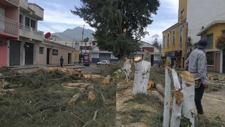 Así luce la calle donde los trabajadores municipales cortaron más de 20 árboles. (Foto Prensa Libre: Fred Rivera)