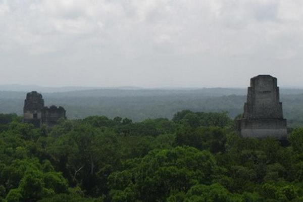 La Reserva de la Biosfera Maya es el bosque más grande de Mesoamérica. (Foto Prensa Libre: Conap)