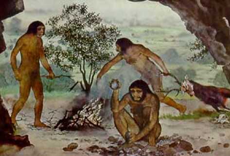 El antecesor común de los mamíferos placentarios entre los que se encuentra el ser humano, fue un diminuto animal que principalmente se alimenta de insectos.