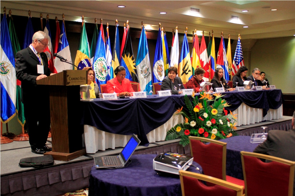 Representantes de 22 delegaciones de América Latina y el Caribe, participan en la nonagésima reunión ordinaria organizada por el consejo directivo del Instituto Interamericano del Niño y Adolecente, en la Antigua Guatemala, Sacatepéquez. (Foto Prensa Libre: Miguel López).