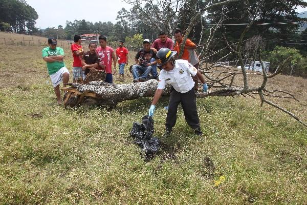 Bombero muestra el cráneo  localizado.