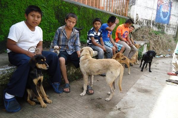 Un grupo de niños espera que sus perros sean vacunados contra la rabia en Barberena, Santa Rosa. (Foto Prensa Libre: Oswaldo Cardona ).