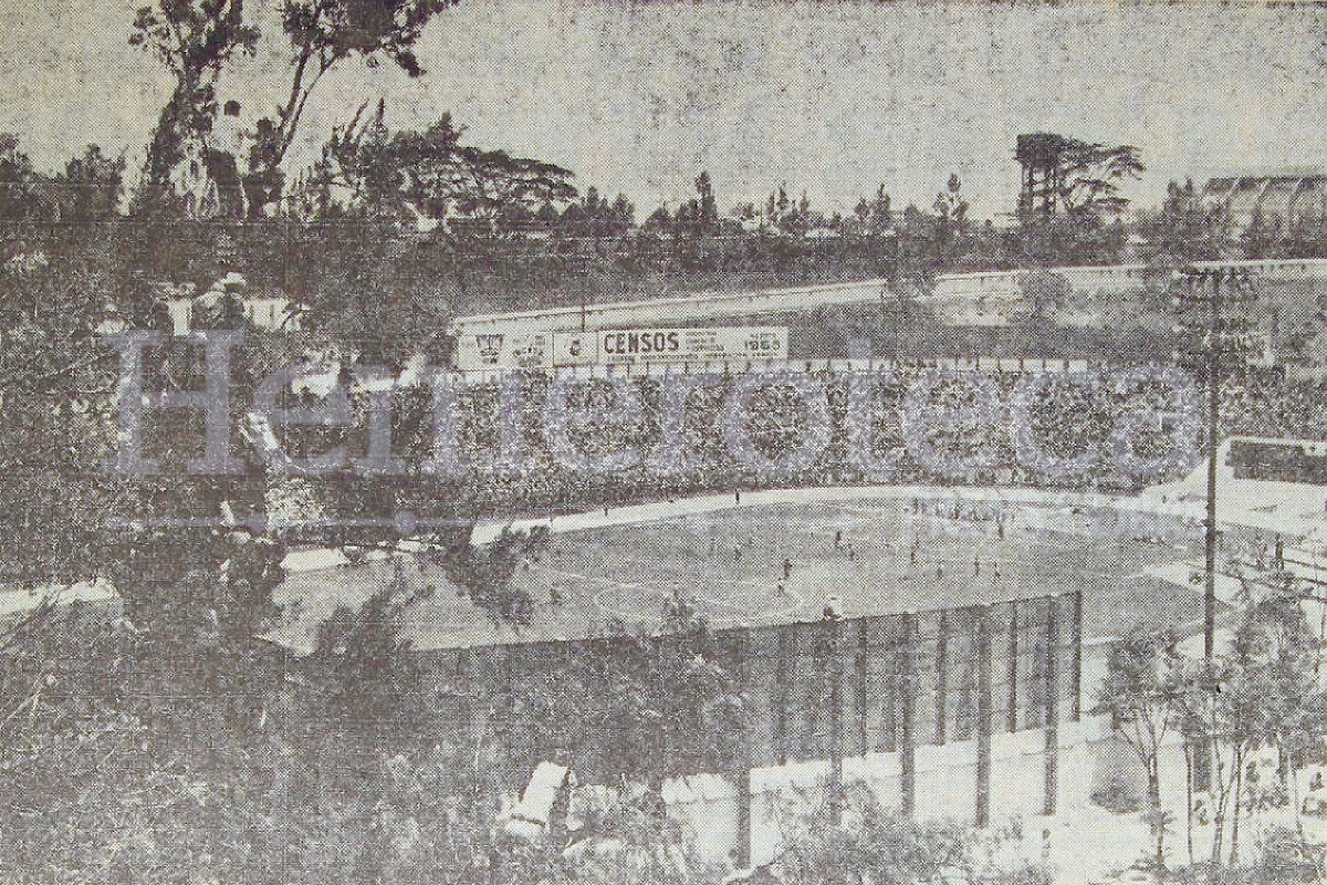 Los fanáticos que no pudieron entrar al estadio Mateo Flores, se treparon a los árboles para ver el partido. Foto: Hemeroteca PL