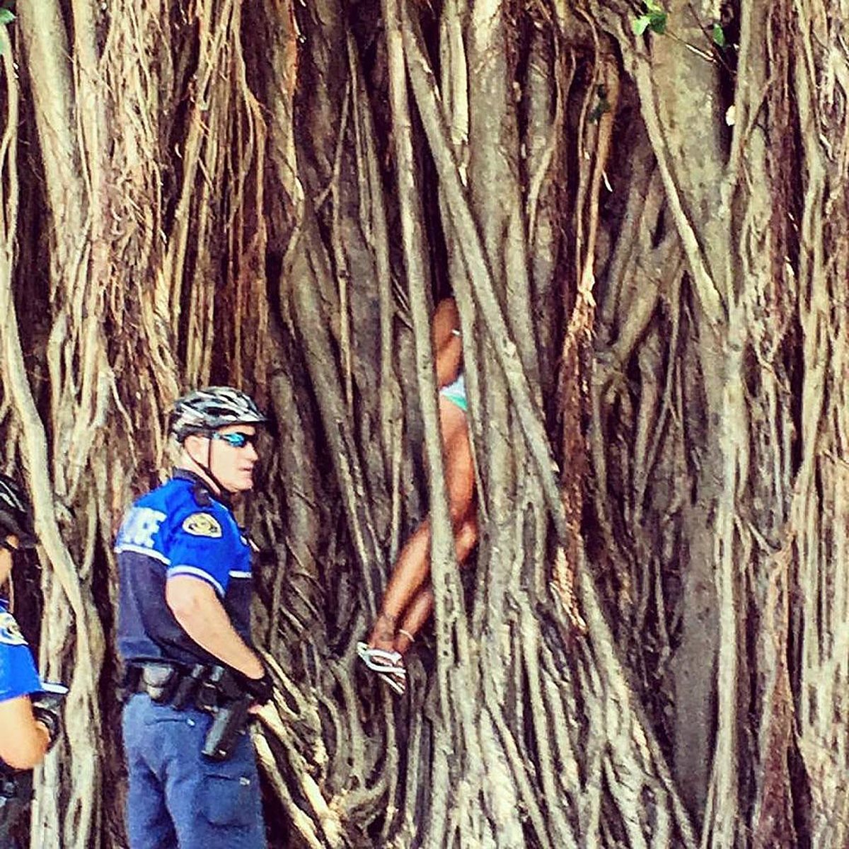 La mujer quedó atrapada entre las raíces del peculiar árbol. (Foto Prensa Libre: EFE).