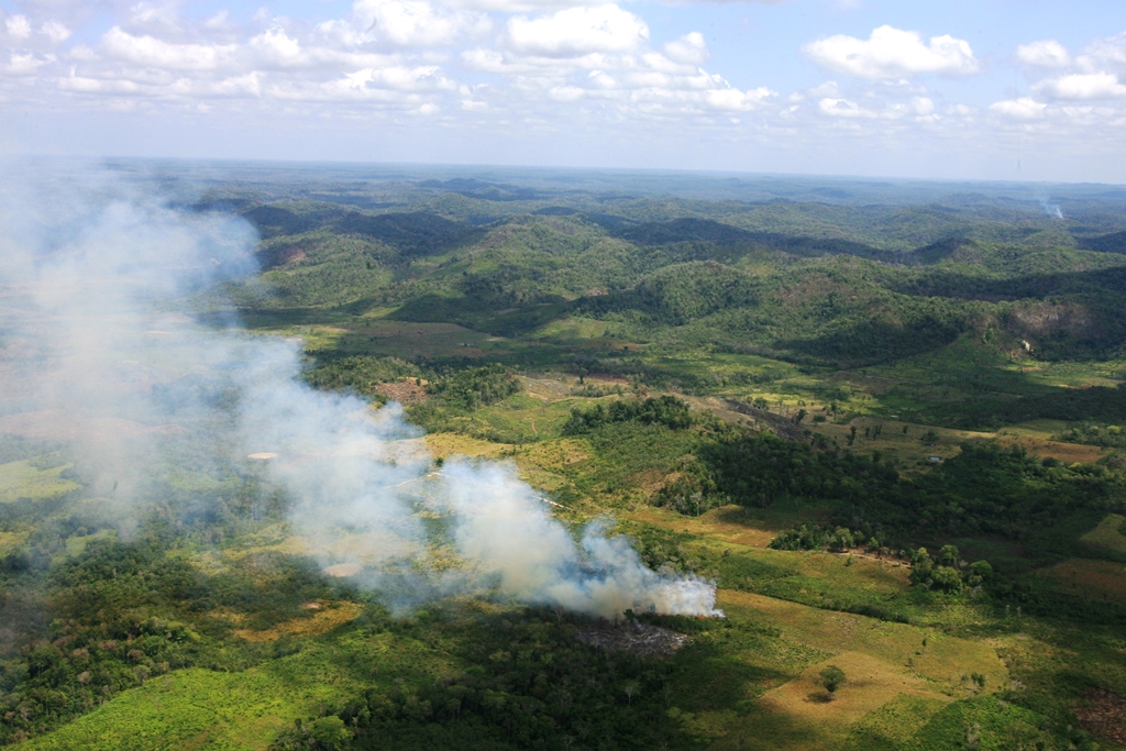 Los incendios forestales afectan particularmente a Petén y las áreas protegidas. (Foto Prensa Libre: Hemeroteca PL)