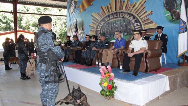 Nueve agentes de la PNC se graduaron como guías caninos. (Foto Prensa Libre: Cortesía PNC)