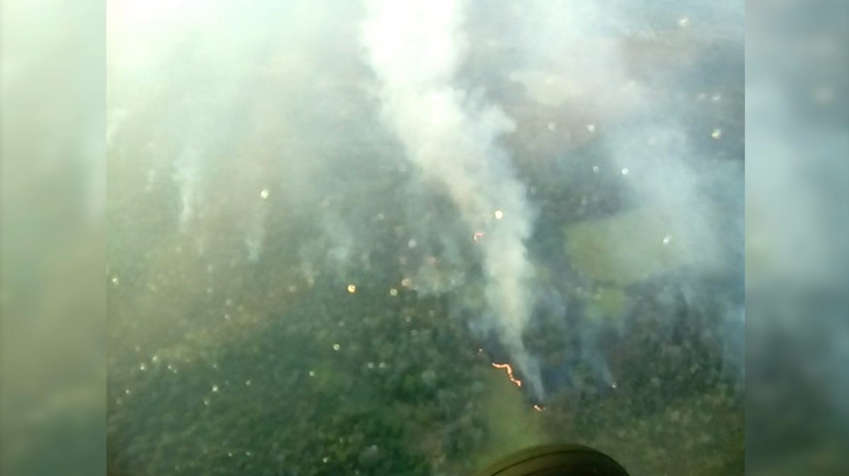 Un sobrevuelo captó la dimensión de los incendios en la Reserva de la Biosfera Maya. (Foto Prensa Libre: Conap)