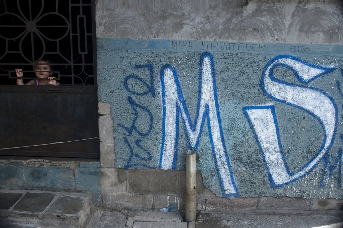 Un niño se asoma por la puerta de un inmueble con grafitis de una de la pandillas que dominan El Salvador. (Foto Prensa Libre: AP).