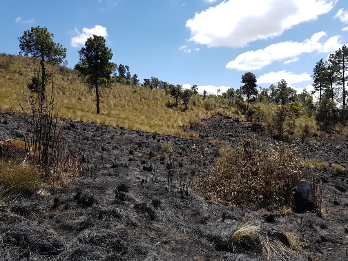Así quedaron las áreas afectadas por incendios forestales en Quetzaltenango. (Foto Prensa Libre: Fred Rivera)