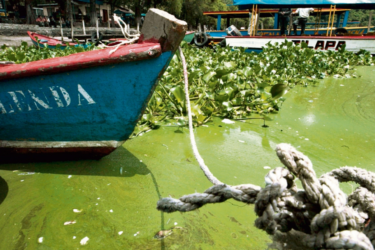La investigación sigue por parte del MP, para determinar el grado de contaminación que pudo haber causado la sustancia en el Lago de Amatitlán.