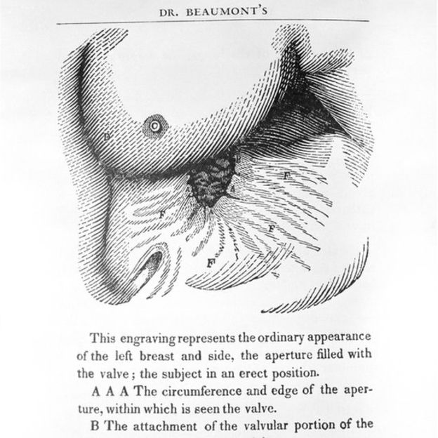 El médico realizó experimentos durante años y escribió un libro. LIBRARY OF CONGRESS/SCIENCE PHOTO LIBRARY