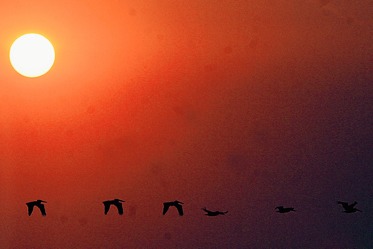 Las altas temperaturas y sensación de extremo calor continuarán hasta el 15 de mayo. (Foto Prensa Libre: Hemeroteca Pl)