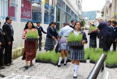 Les entregan a  estudiantes  árboles  para plantarlos en Sololá.
