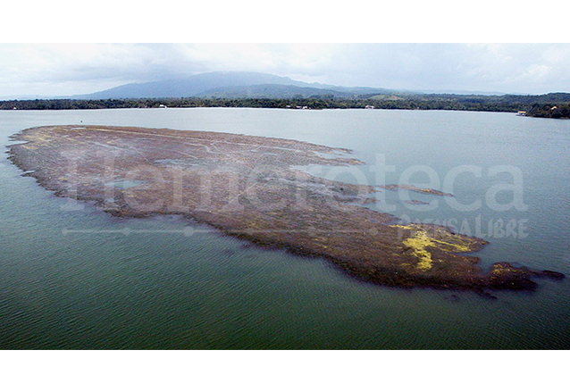 Vistas desde el aire parecen simples manchas, pero en realidad son grandes formaciones de Hydrilla verticillata, la cual puede matar al lago y sus especies. (Foto: Hemeroteca PL)