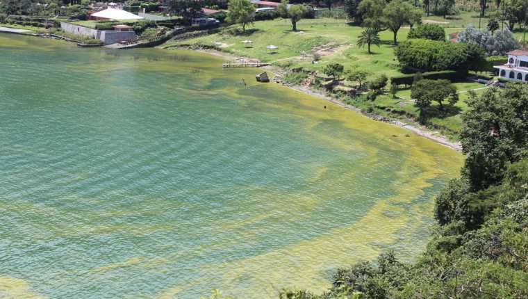 Vista aérea del Lago de Atitlán, en Sololá, donde tres tipos de cianobacteria se reproducen por la contaminación. (Foto Prensa Libre: Ángel Julajuj)
