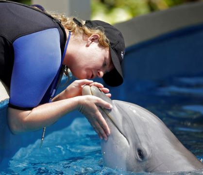 Una entrenadora de delfines besa a un animal en el parque Sea World de Florida donde uno de esos ejemplares arrebató la tablet a una mujer que lo fotografiaba. (Foto Prensa Libre: AP).