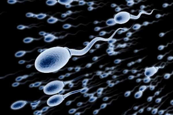 Crean píldora para mantener el esperma a raya