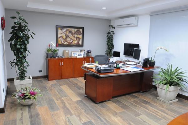 Las plantas dentro de una oficina brindan vitalidad. (Foto Prensa Libre: ÁXEL VICENTE)